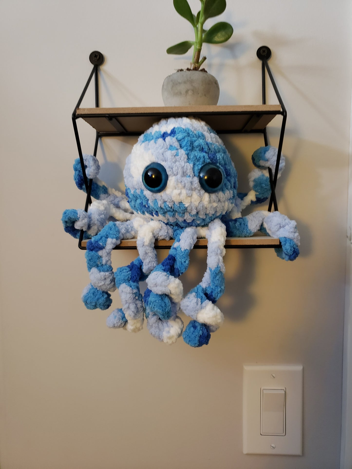 Baby Octopi