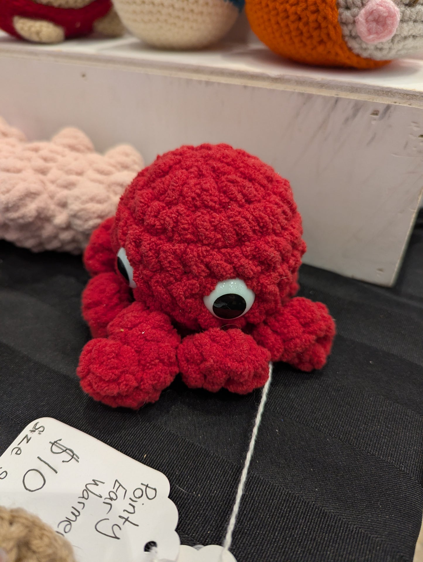 Baby Octopi
